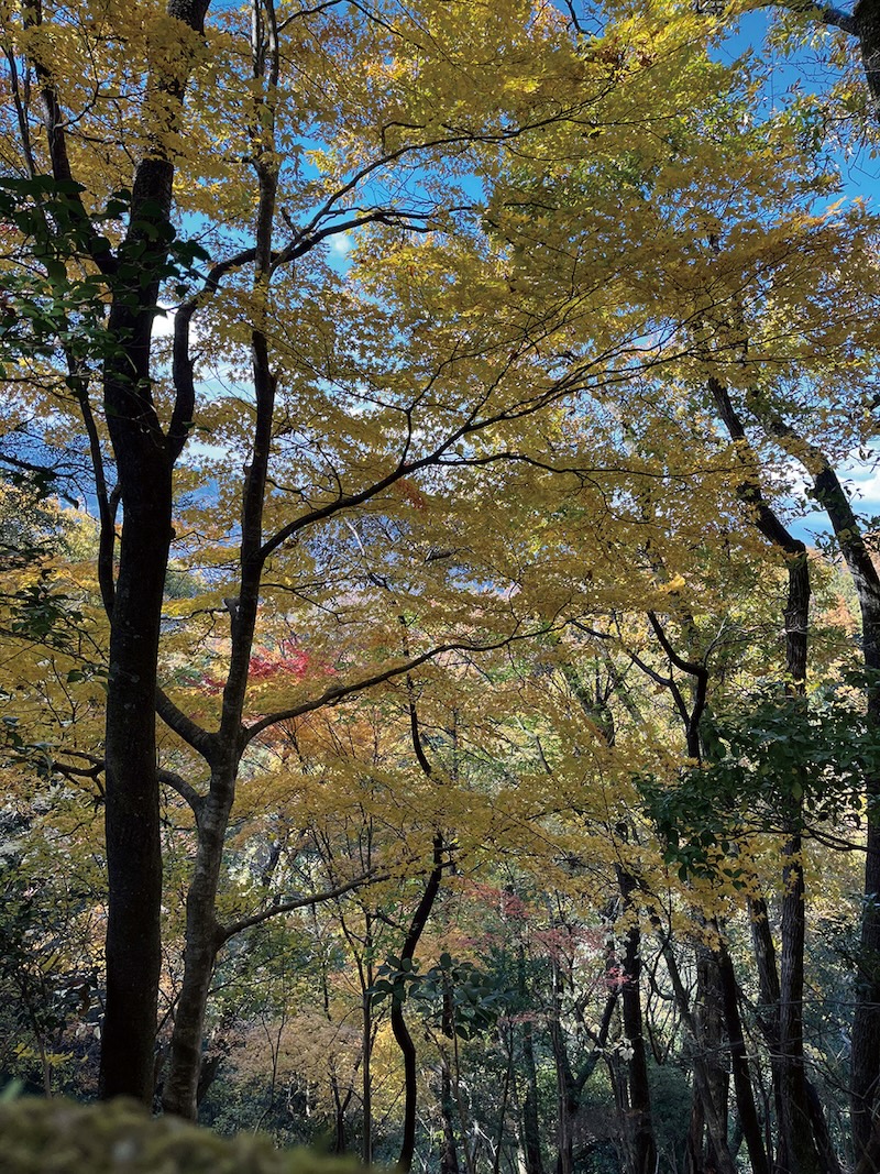 【第2回】低山登山へのいざない