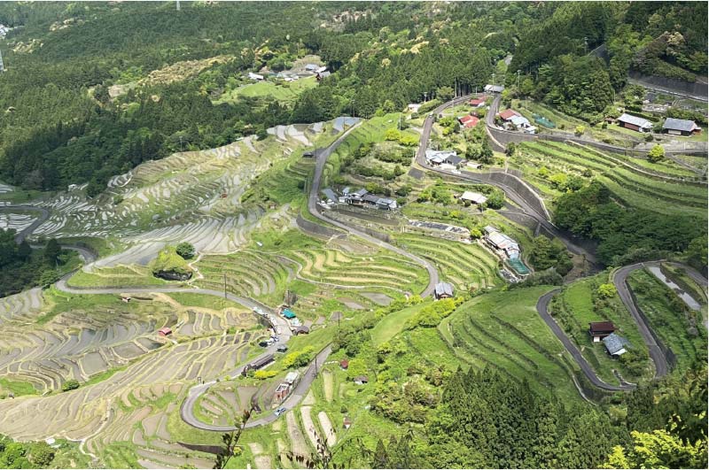 【第7回】低山登山へのいざない