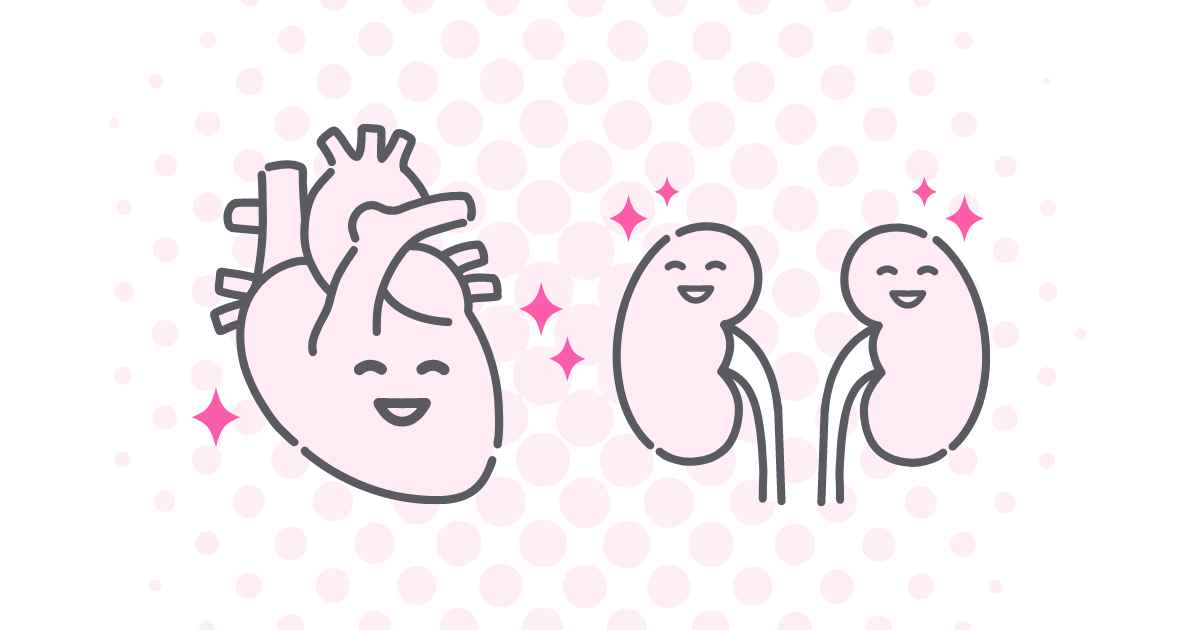 夏の腎臓と心臓を守るヒント　パート1　脱水になると心臓や腎臓に負担がかかるの？
