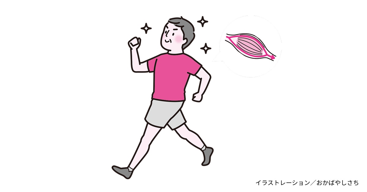 筋肉は一生の相棒！体組成計で見直す「体の中身」と糖尿病管理